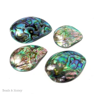Abalone Shell Beads Concave Tail 30-45mm (1pc)