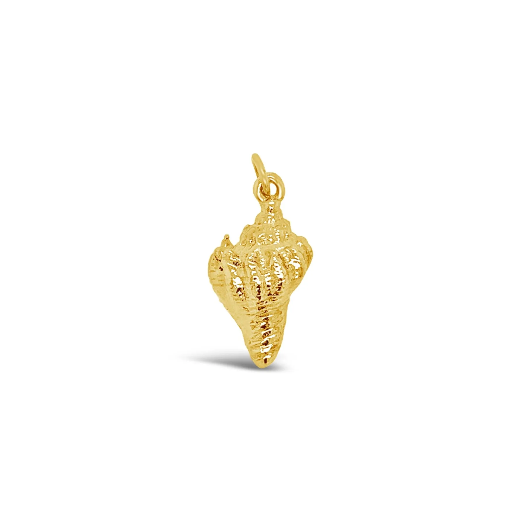 Crown Shell Charm