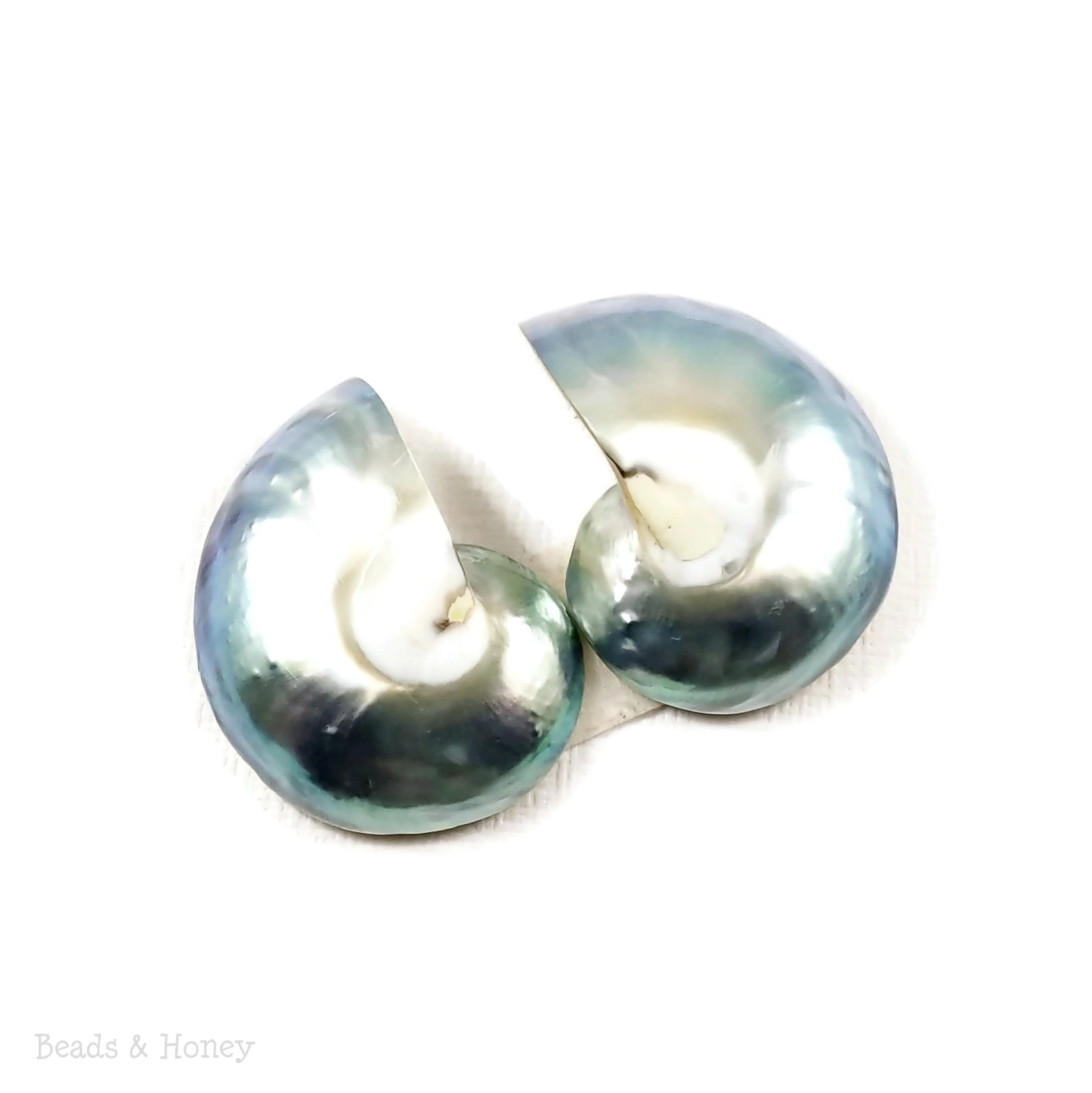 Nautilus Shell Cabochon Blue-Gray 25-30mm (Set of 2)