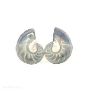 Nautilus Shell Cabochon Blue-Gray Smooth/Ridges 18x25mm (Set of 2)