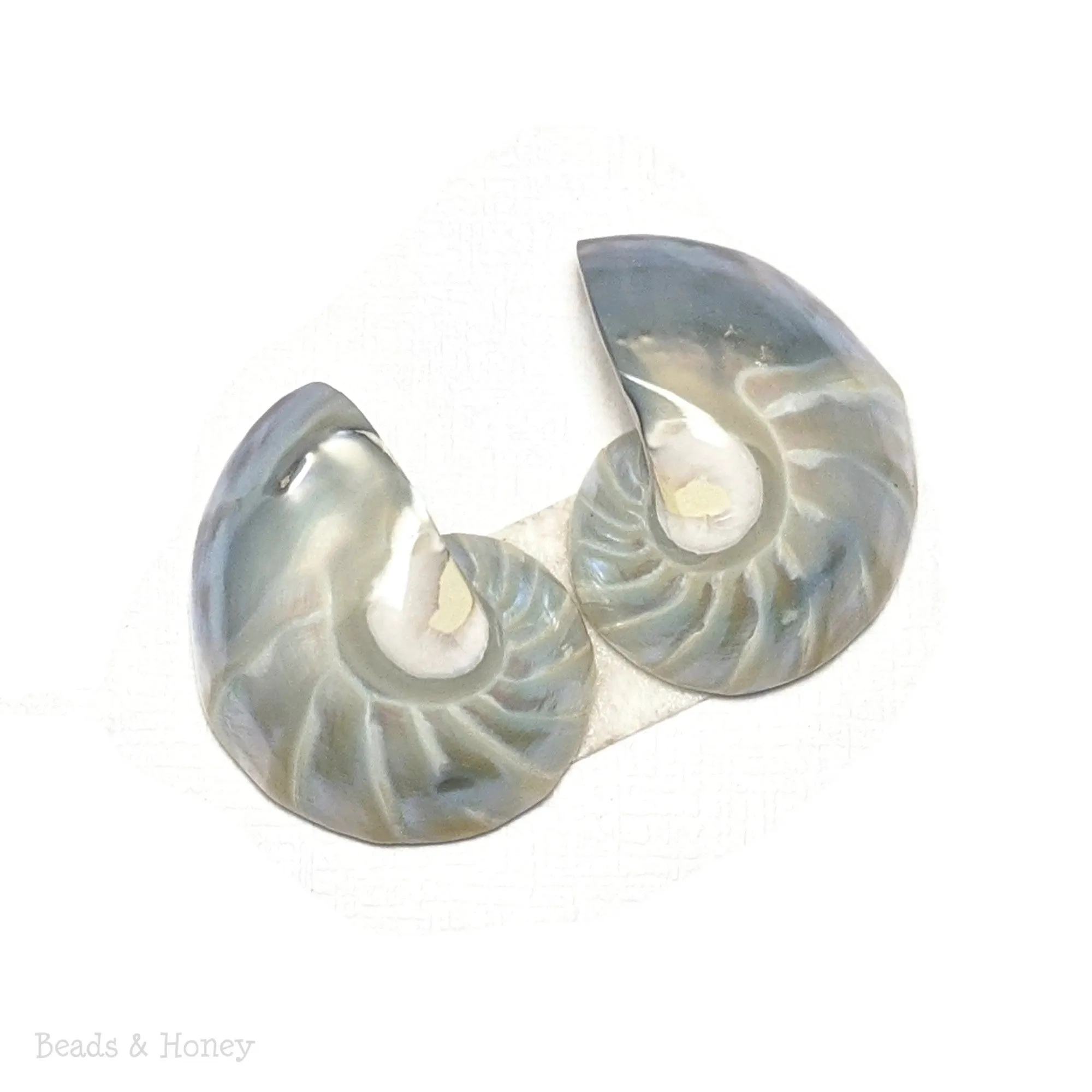 Nautilus Shell Cabochon Blue-Gray Smooth/Ridges 18x25mm (Set of 2)