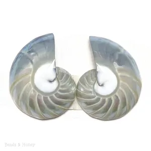 Nautilus Shell Cabochon Blue-Gray Smooth/Ridges 30x23mm (Set of 2)
