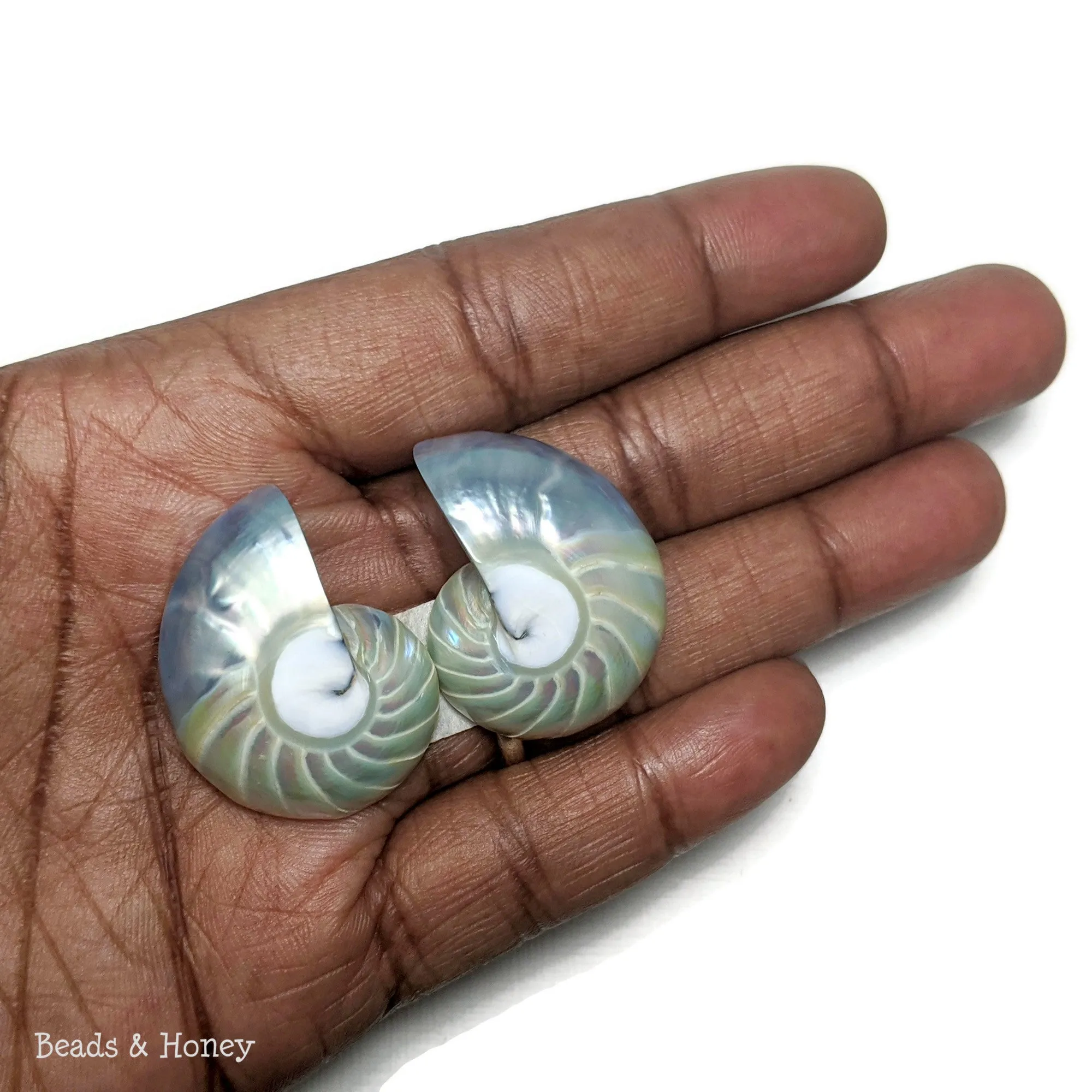 Nautilus Shell Cabochon Blue-Gray Smooth/Ridges 30x23mm (Set of 2)