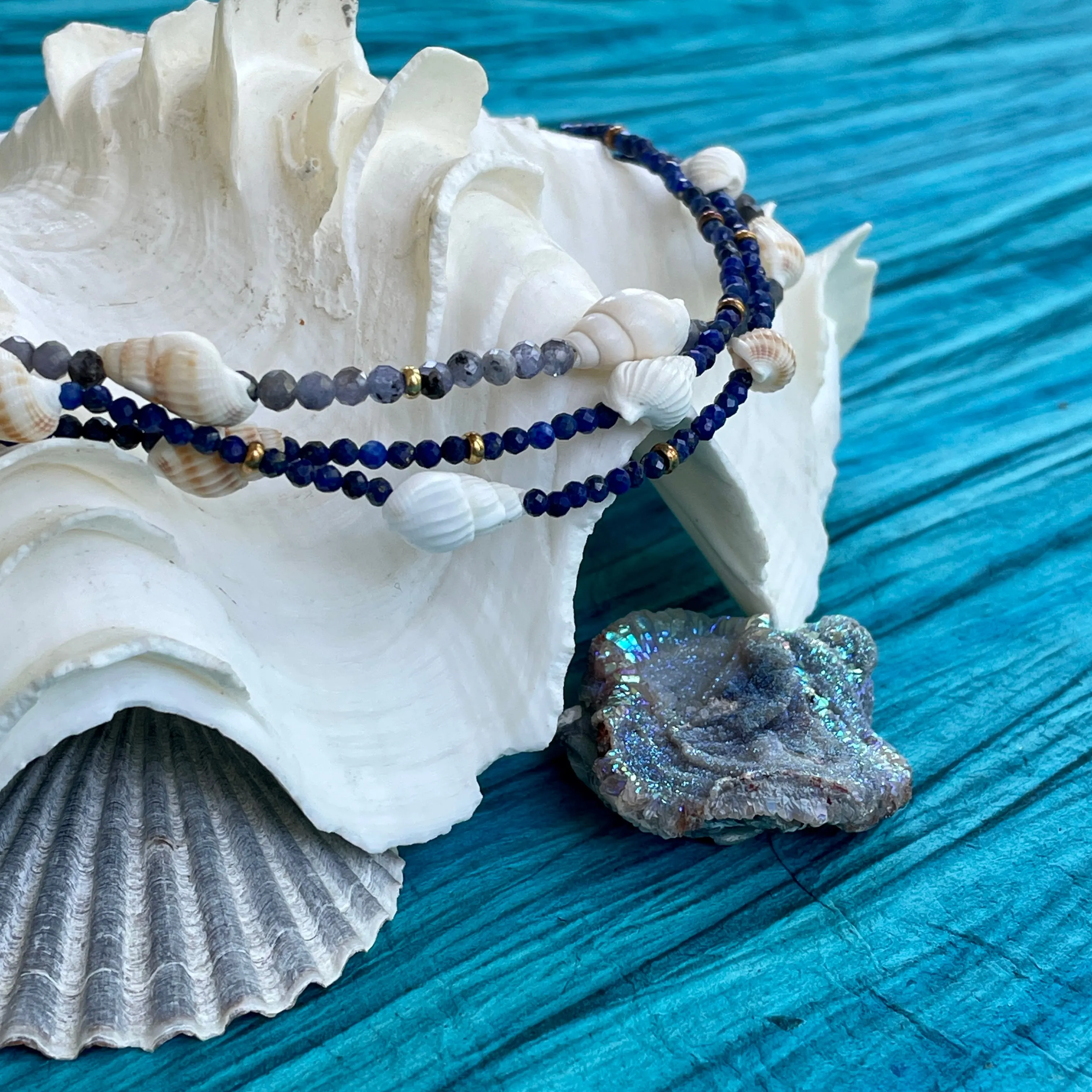 Seashell Weather Choker