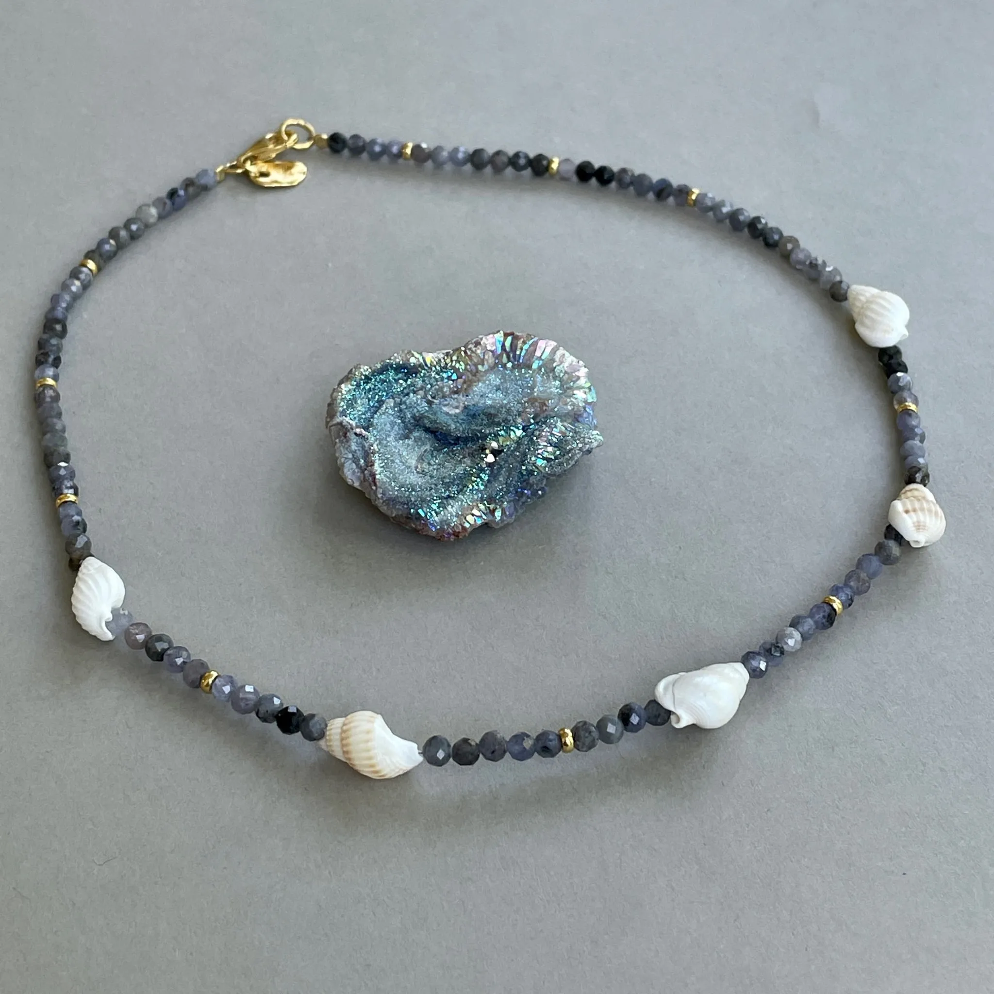 Seashell Weather Choker