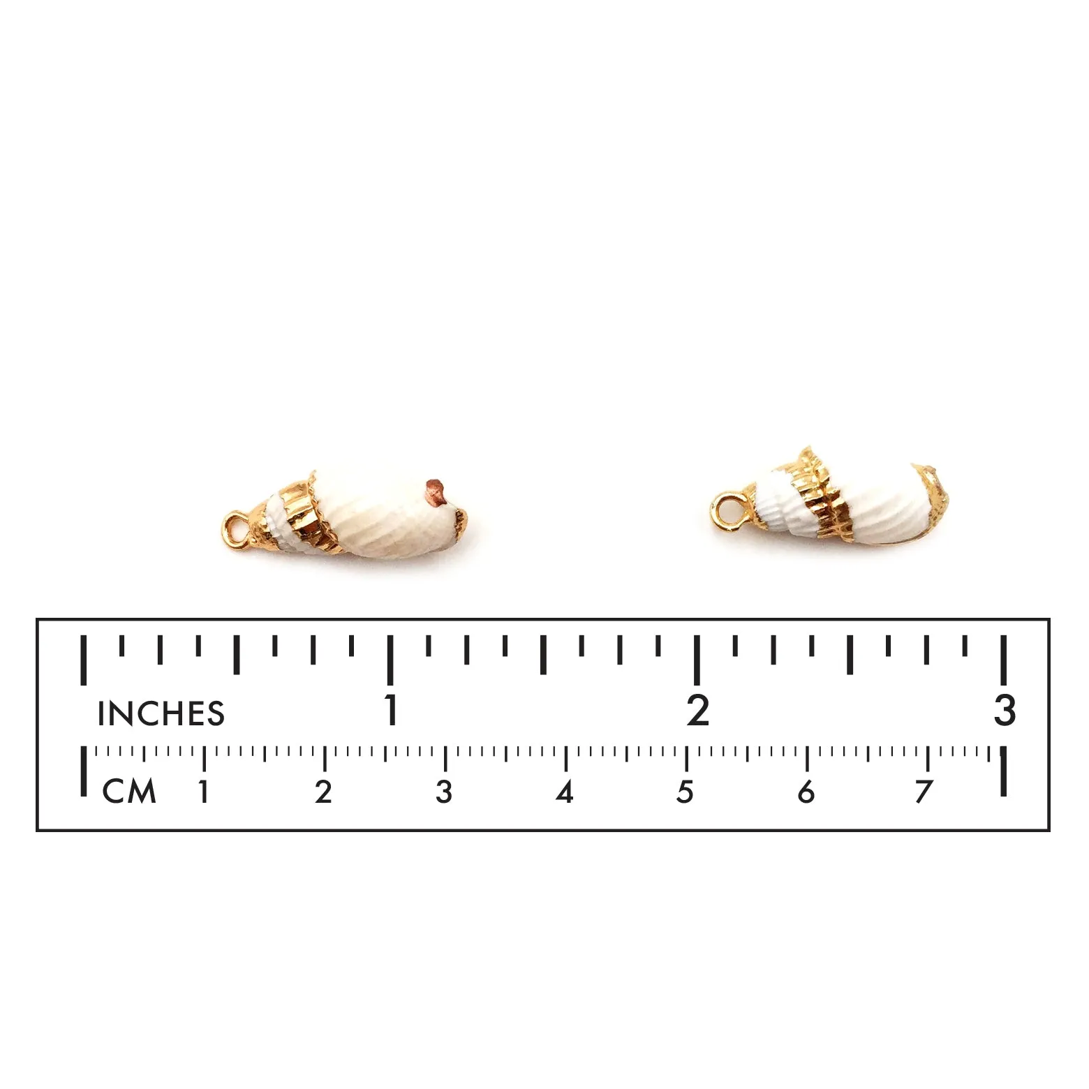 SP1060 Sea Shell Charm/Pendant