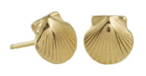 Tiny Scallop Shell Studs