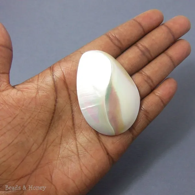 White Rainbow Nautilus Chamber Shell Cabochon 38x54mm (1pc)
