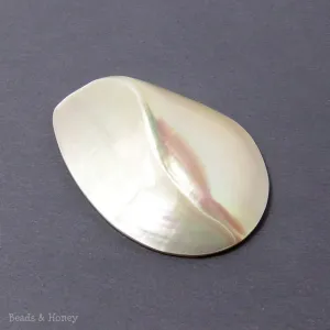 White Rainbow Nautilus Chamber Shell Cabochon 38x54mm (1pc)